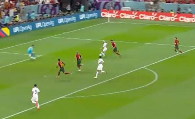 1669668167975027351.jpg 8768756.jpg